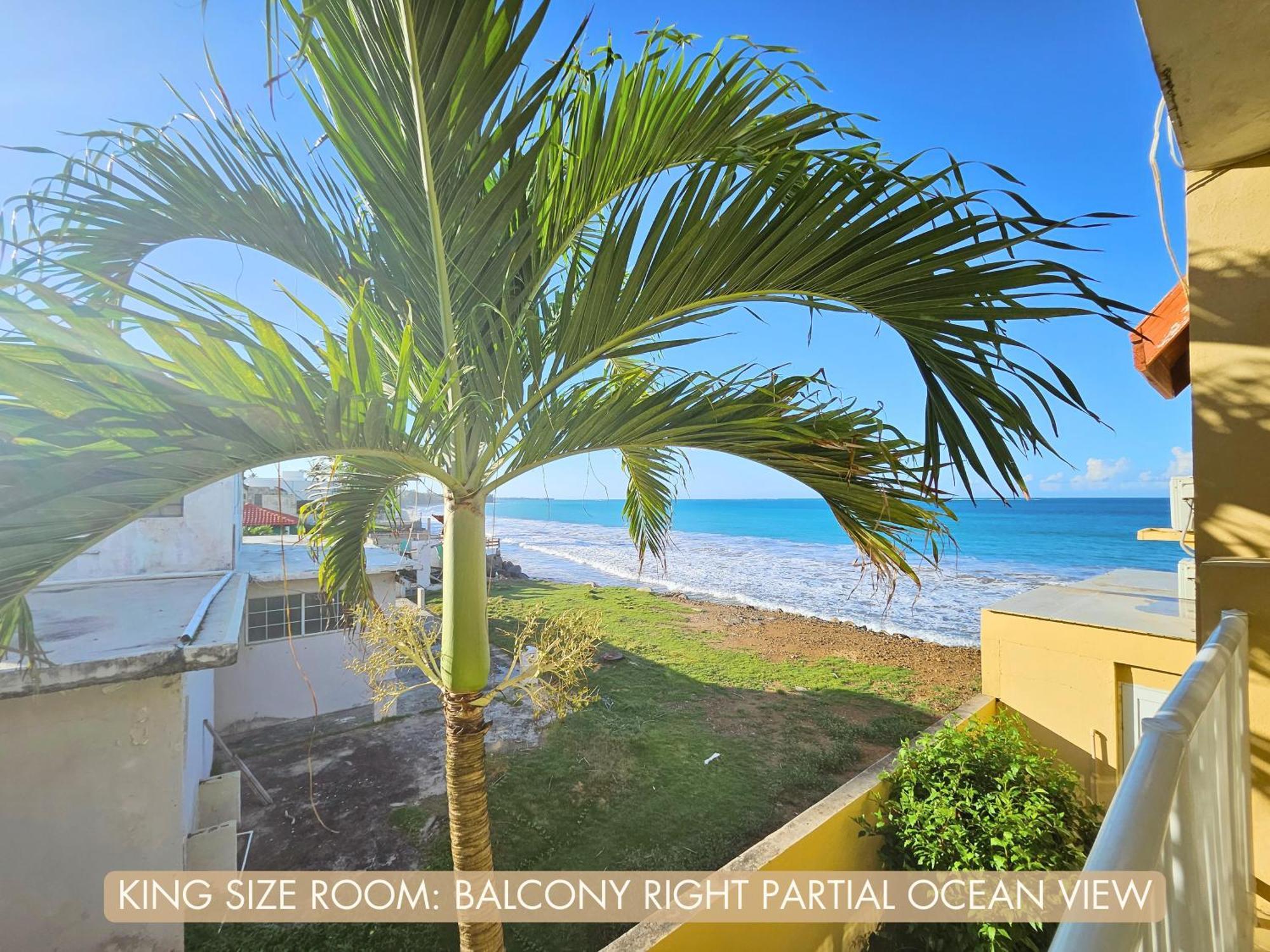 Selva Boutique Hotel - Luquillo Oceanfront Retreat - Adults Only Exteriér fotografie